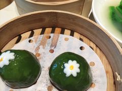 -点都德·毕德寮
