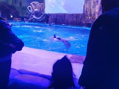 -华夏文旅海洋公园