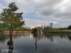 -深圳龙潭公园