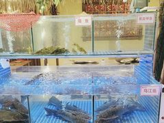 -徐家屯铁锅炖(宋家庄店)