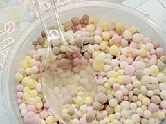 -台场海滨公园船码头
