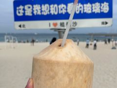 -杨梅坑