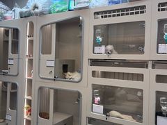 -唐小姐の私宠·宠物洗护美容·撸猫馆·购宠(周浦万达旗舰店)