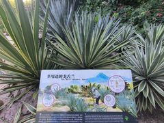 -深圳仙湖植物园