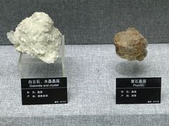 -甘肃地质博物馆