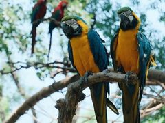 -北京野生动物园