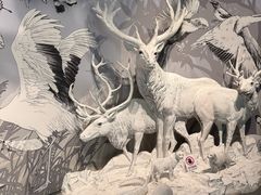 -中国湿地博物馆