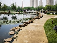 -前关湿地公园