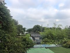 -慢丽江·云南野生菌土鸡锅(付家庄店)
