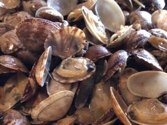 -浩运海鲜·16年专注青岛菜(石老人店)