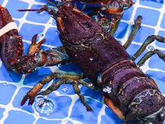 -巽寮印象美食部落餐厅·海鲜·地方特色菜(惠州体验店)