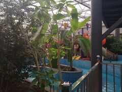 -天源吉布世温泉水乐园