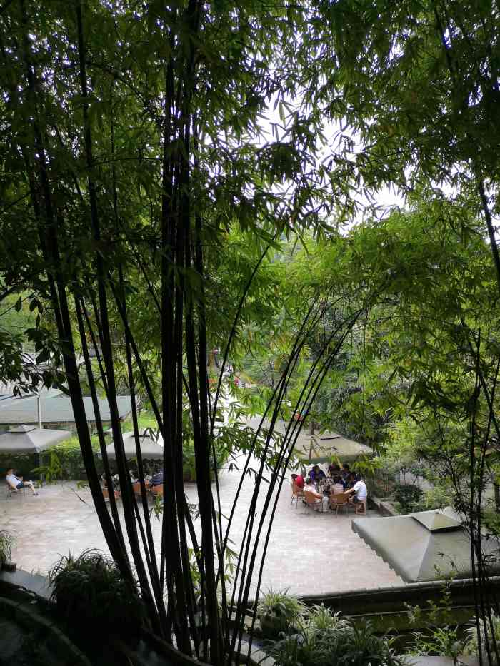 竹海听涛生态山庄-"借助山丘地势,隐藏在竹林中的火锅.包厢布.