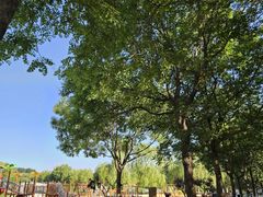 -大兴滨河森林公园