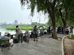 -莲花池公园