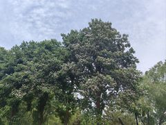 -北坞公园