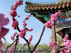 -北京西山国家森林公园