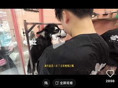 -FAELING PETS美天灵宠物(合生汇店)