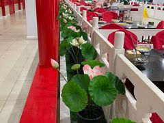 -芦月轩羊蝎子(太平桥店)