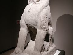 -河南博物院