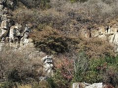 -周口店坡峰岭风景区
