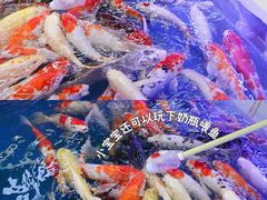 -武汉荟聚