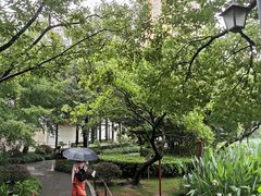 -陈家山荷花公园