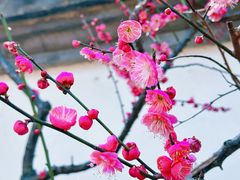 -浙江省博物馆(孤山馆区)