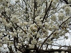 -贵阳市花溪国家城市湿地公园
