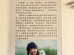 -盐城丹顶鹤湿地生态旅游区