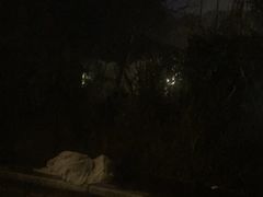 -庐山天沐温泉度假村