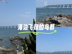-黑石礁公园