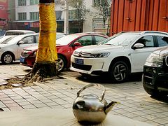 -陈有良尖椒鸡(江津总店)