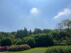 -宜兴龙背山森林公园