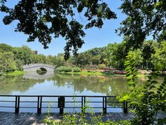 景点-解放公园