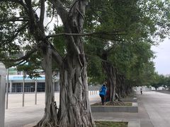 -南宁国际会展中心