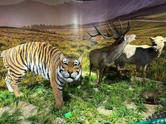 -北京麋鹿生态实验中心