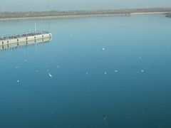 -贝林大翅鲸简餐厅(国家海洋博物馆店)