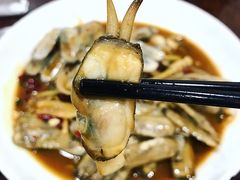 蛏子-福建美食城(老君堂店)