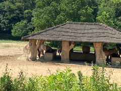 -杭州野生动物世界
