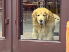 -砂锅爷·老成都砂锅菜(昌平店)