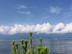 -大理洱海