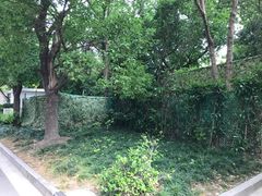 -上海市普陀区中心医院