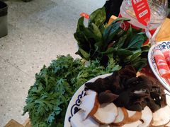 -东镇老火锅(长春路首店)