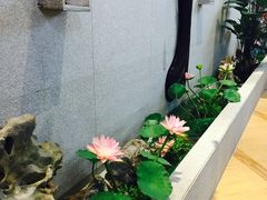 -丽池宫韩式汗蒸会馆(华灯坊店)