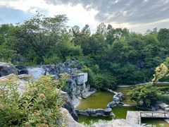 -上海吴淞炮台湾国家湿地公园
