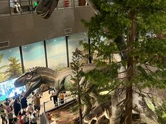 -湖南省地质博物馆