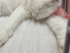 -北京华联购物中心(天通苑店)