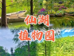 -深圳市中科院仙湖植物园