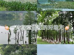 -番禺大夫山森林公园
